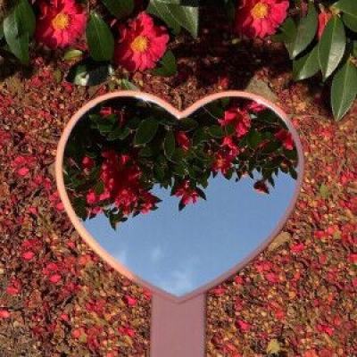 PG麻将胡了免费版