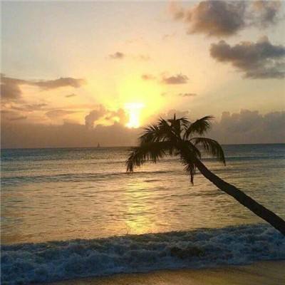 kok全站app官网登录入口截图