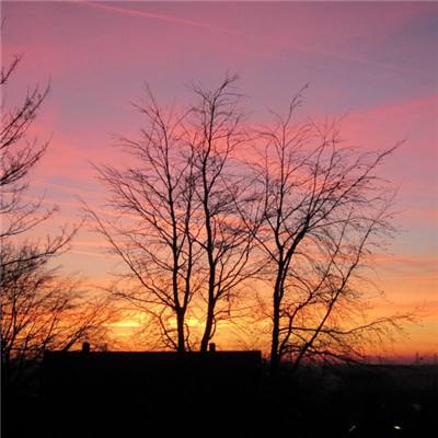 云开平台app官方最新版本